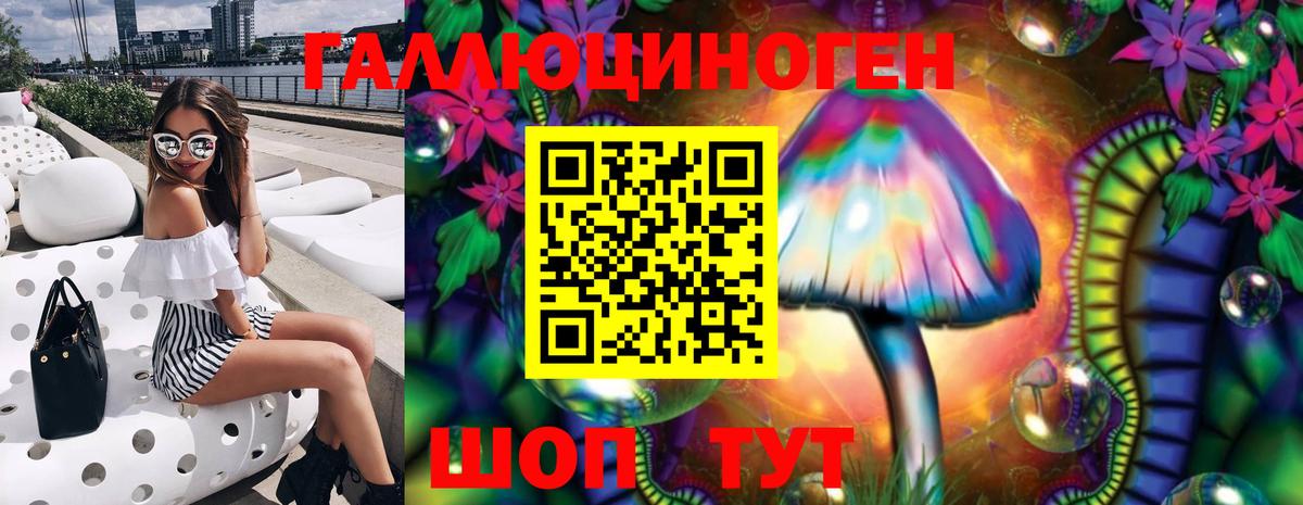 Туапсе  Псилоцибиновые грибы Psilocybine cubensis  Вход с VPN 